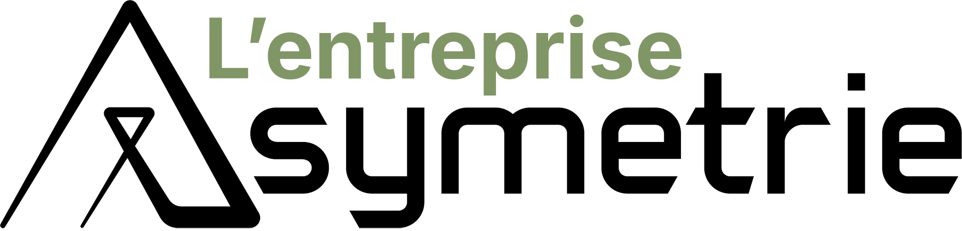 Logo l'entreprise asymetrie
